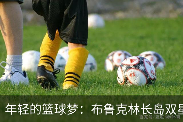 年轻的篮球梦：布鲁克林长岛双星闪耀翅膀